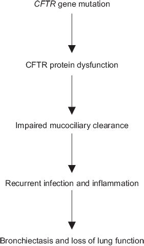 cff medical abbreviation.